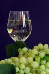 Weintrauben und Weißwein ,freigestellt