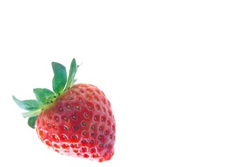starwberry isolated on white with copy space