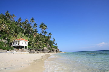 Beautiful tropical beach in diving paradise