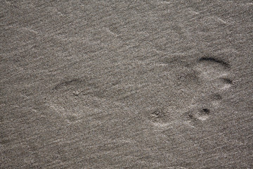 Footprint in sand