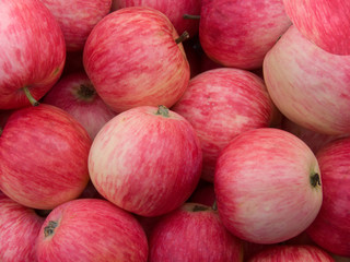 Fruit apples  red