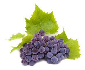 Fototapeta premium Blue grape cluster with leaves