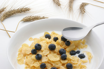 Muesli, milk and blueberries in a white bowl