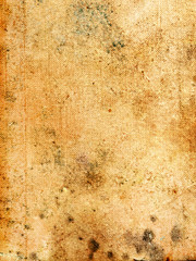 Obraz premium old paper