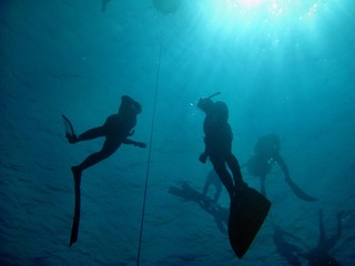 Fototapeta na wymiar Freedivingu
