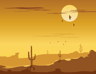 Wild west