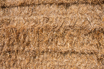 Wall of hay