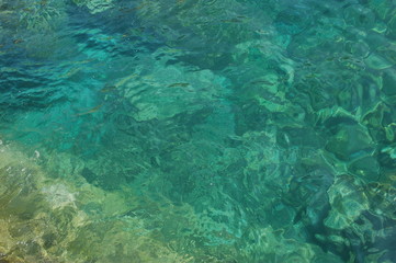 Fototapeta premium Le fond de la mer