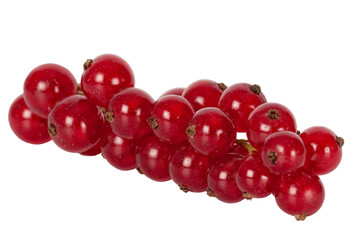 red currants, isolated on white background