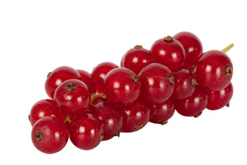 red currants, isolated on white background