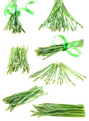 set asparagus  isolated.