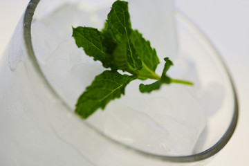 minzblatt auf getränk