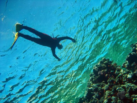 Snorkeling