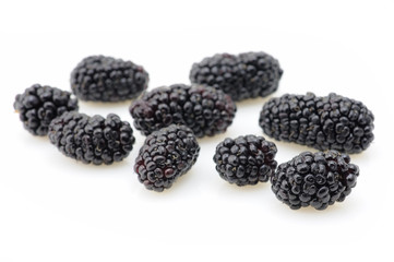 Blackberries closeup