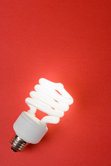 Compact Fluorescent Lightbulb
