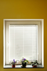 Window blinds