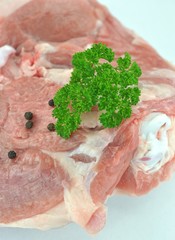 Putenfleisch, frisch mit Gewürzen