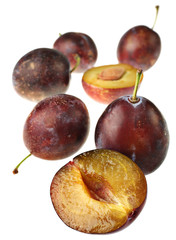 Plum