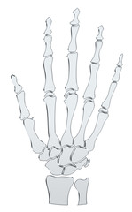 Designelement - Skelett-Hand