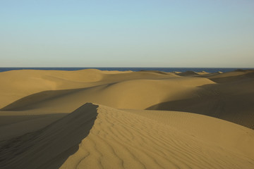 Fototapeta na wymiar dunas