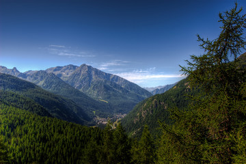 Fototapeta premium Montagne panorama e foresta