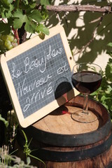beaujolais nouveau