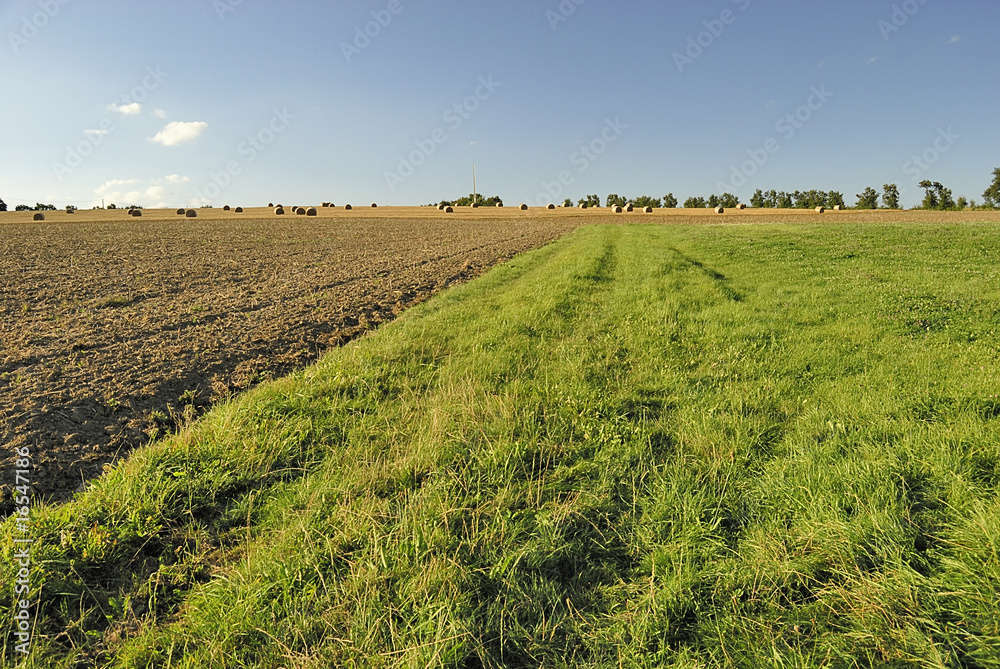 1000_F_16547186_8SOjHThofhrZ1a8uie08hMpaf8tpQ4bO.jpg
