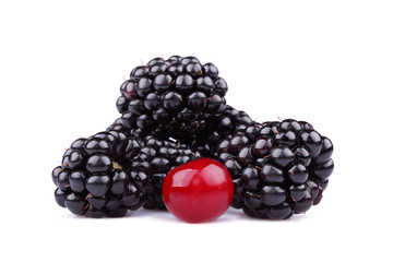 Wood berries