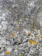 Texture de roche