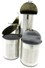 des boites de conserve videsouvrir,conserver,cuisine,