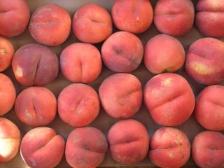 pêches