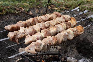 Shashlik on a grill