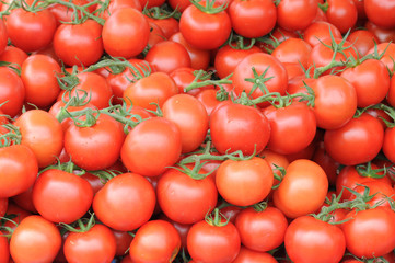 Tomato