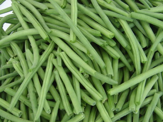 haricot vert