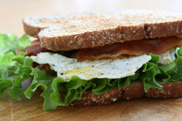 Fried Egg Sandwich