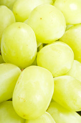 Seedless Green Grapes Closeup