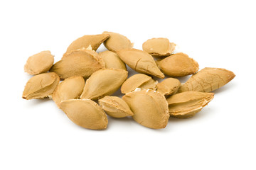 Bones a apricot isolated on white background