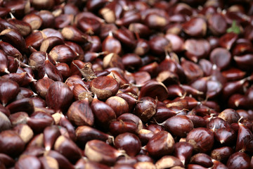 Castagne (chestnuts)