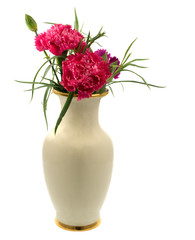 spring red pink carnation flowers in a vase