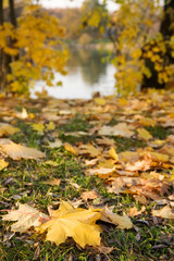 autumn