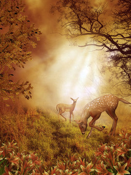 Fantasy scenery 61