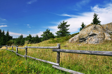 Fototapeta na wymiar landscape scenery with meadow and wooden fence