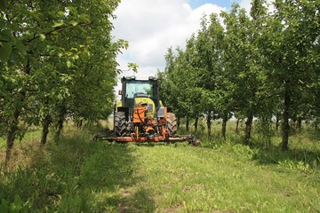 landwirtschaft