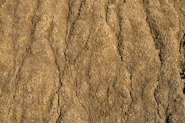 brown texture