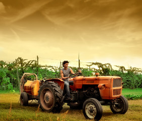Obraz premium tractor