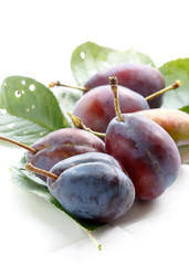 Plums on a white background.