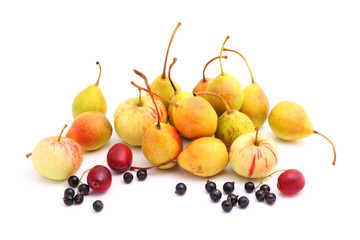 Cultivated fruits on white