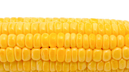 Corn isolated on white