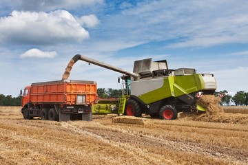 harvest, loading of wheat to the truck