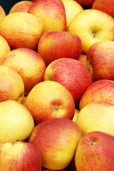 Yellow and red apples